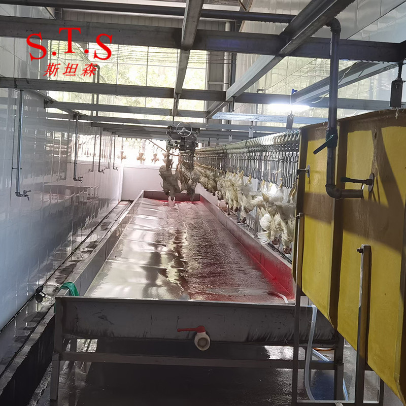 家禽屠宰流水线家禽宰杀沥血集血槽 家禽宰杀沥血线配套接血槽