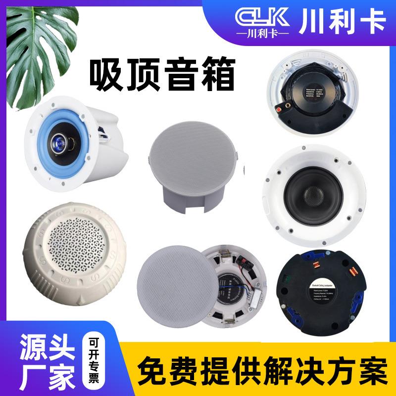 3w6w10w15w2w吸顶音箱专业音响学校操场多功能厅车站吸顶音箱