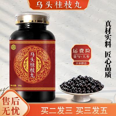 北京同仁堂 原料乌头桂枝汤丸散汤 大瓶装(200克/瓶)匠心品质 传