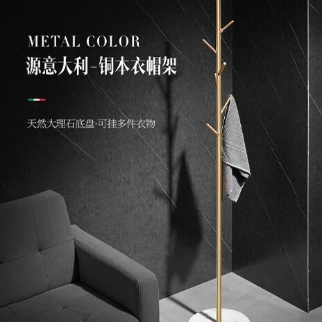 轻奢衣帽架落地式卧室客厅门口简约全铜黄铜挂衣架房间角落衣服架