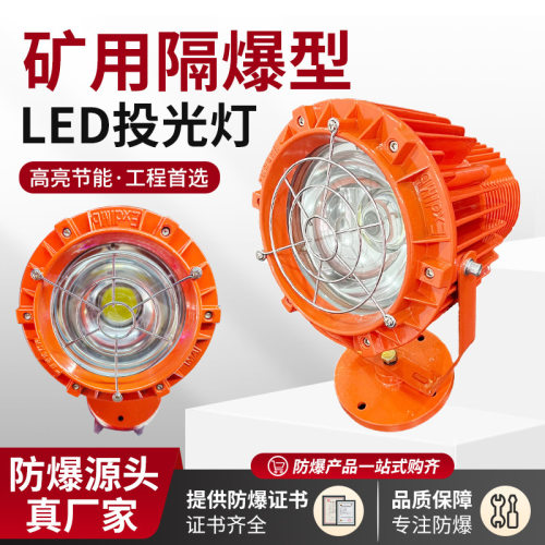 70W/100W煤矿用LED投光灯 DGS100/127L(A)井下用补光灯射灯探照灯