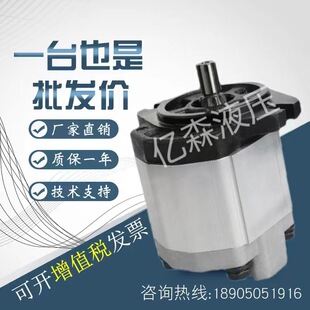 布雷维尼BREVINI齿轮泵OT300 P22/28/32/38/42/48/53/63/73/82/90