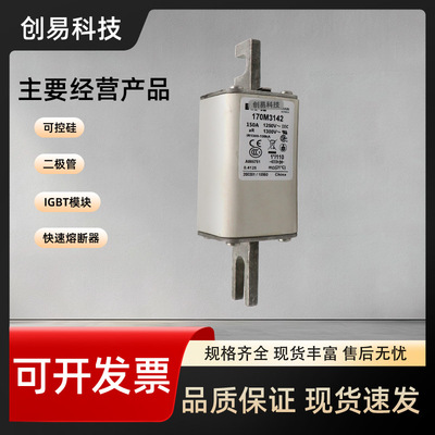 170M3163 170M3164 170M3165 170M3166 170M3167 170M3168保险丝