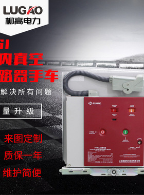 11KV户内高压真空断路器（ZN63） 手车式固封筒装式真空断路器VS1