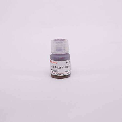 4×非变性蛋白上样缓冲液     P1017 非变形蛋白上样缓冲液