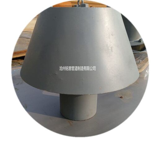 DN200不锈钢水池罩型通气管