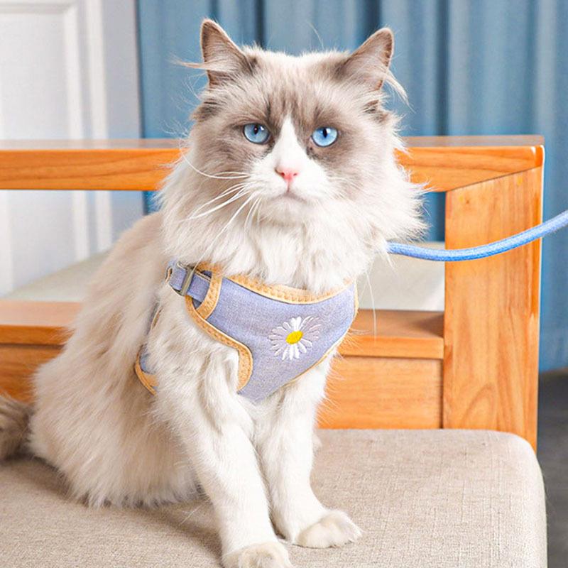 直销新款狗狗牵引绳背心式狗链子遛狗绳猫咪溜猫绳泰迪小型犬项圈