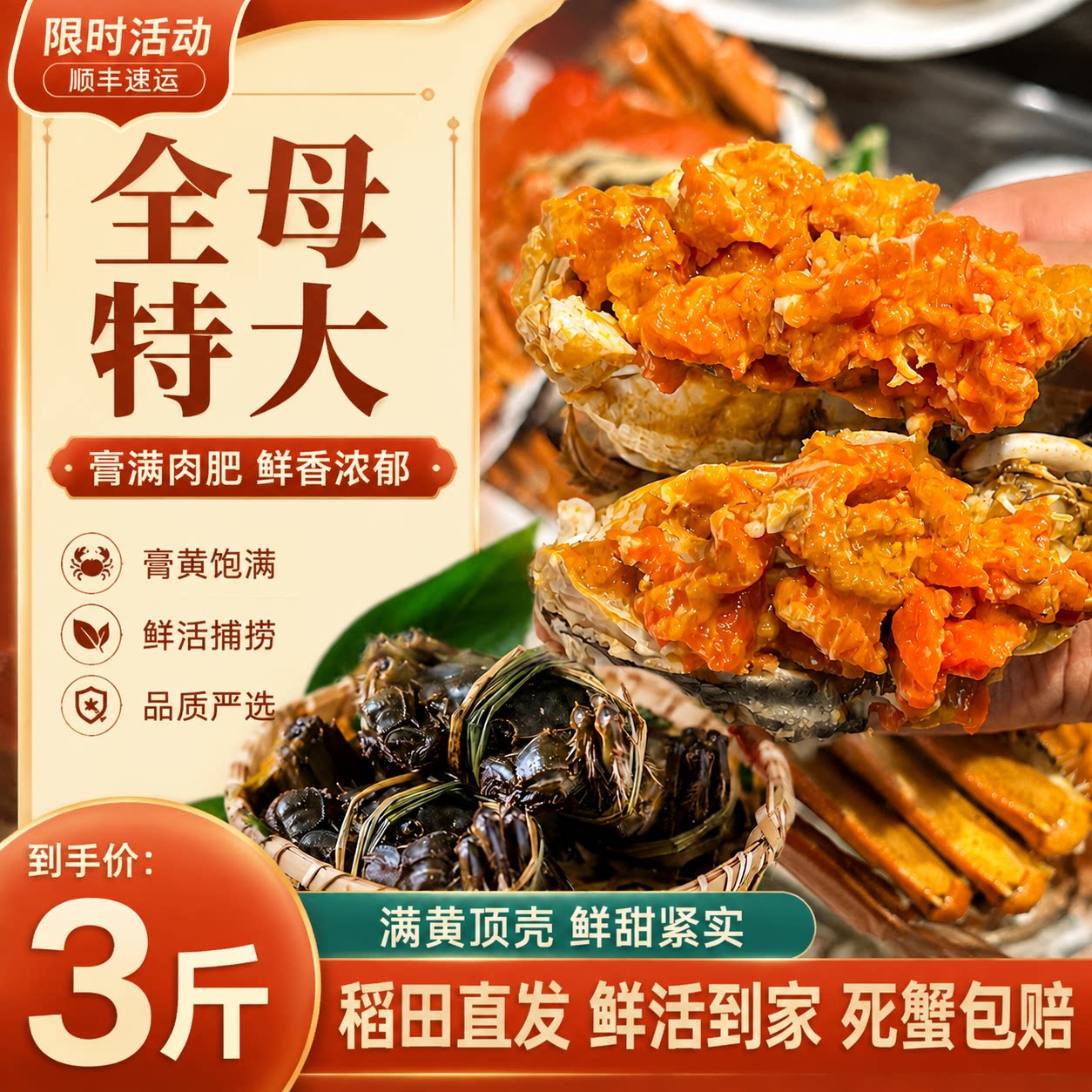 活蟹盘锦河蟹鲜活全母蟹螃蟹大闸蟹非湖蟹鲜活毛蟹顺丰中秋礼盒