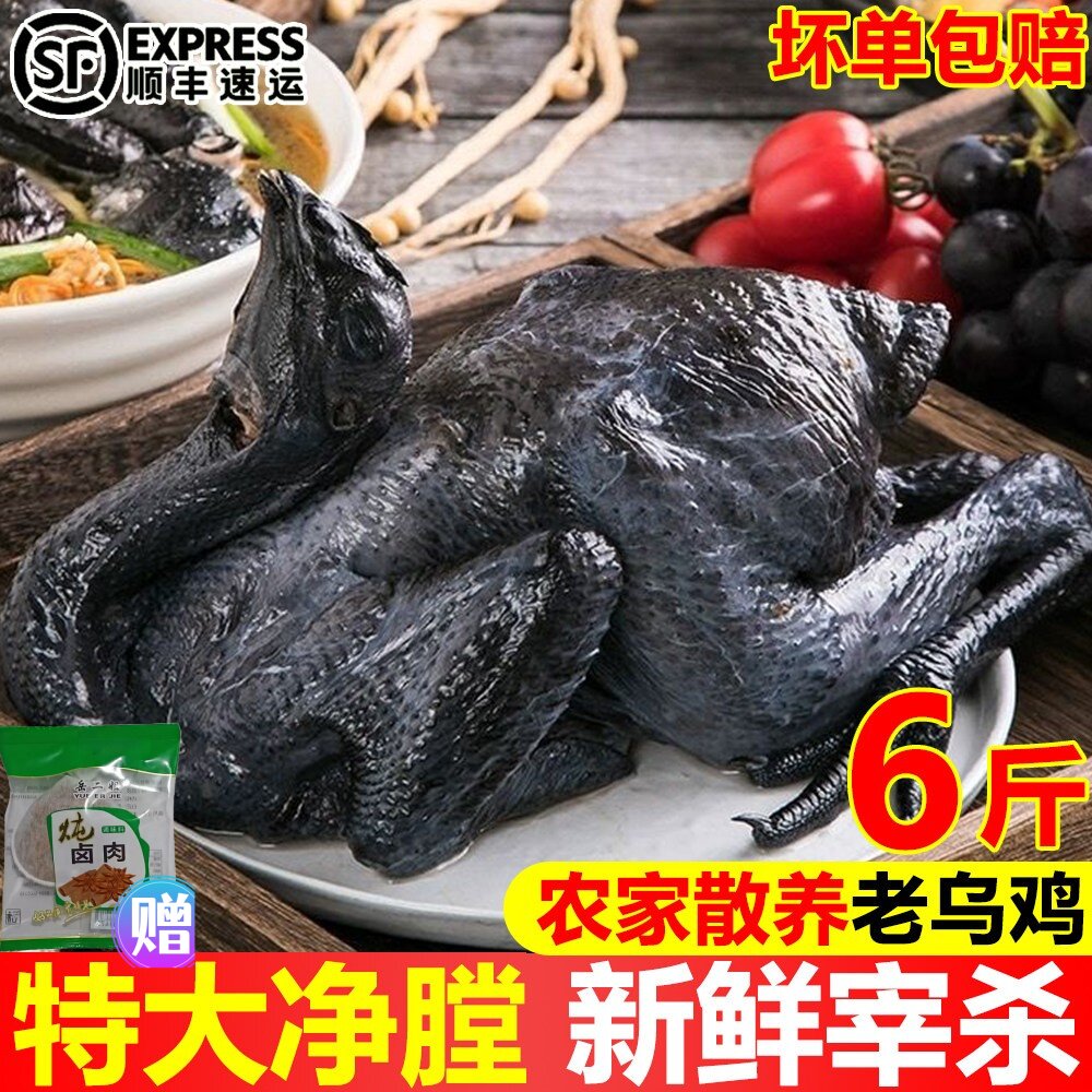 散养现杀新鲜乌骨鸡整鸡顺丰