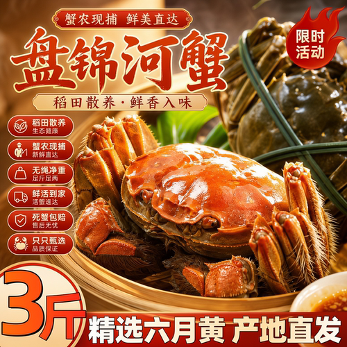 活蟹盘锦河蟹鲜活螃蟹大闸蟹非湖蟹鲜活毛蟹水产8-14只六月黄顺丰