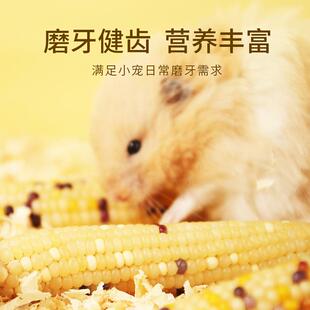 直销新款迷你小玉米磨牙棒仓鼠花枝鼠兔子熊磨牙零食用品金丝熊粮