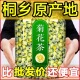 菊花茶桐乡胎菊王头采特级正宗杭白菊贡菊花茶500g散装 新花草茶叶