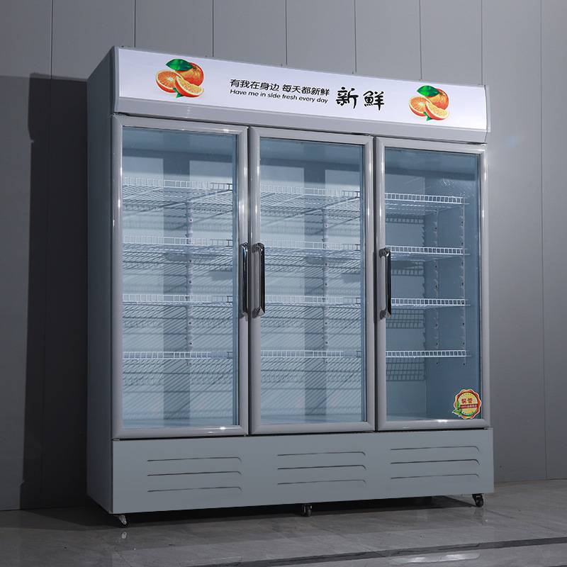单开门300升夏季直冷饮料啤酒冷藏展示柜冷冻柜立式冰柜商用冷柜