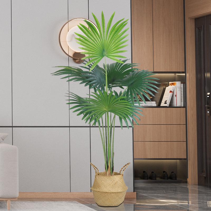真植扇绿葵仿州蒲葵葵类绿植居家客厅摆件装饰加无品牌/大型落地
