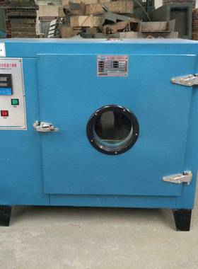 鼓风恒干燥箱BGN热风循环工业烤实验室温烘干漆小烘箱油电加热箱