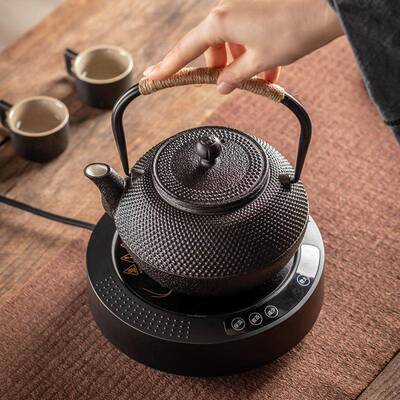 铁壶茶壶茶煮茶器家用室内烧水喝茶泡茶壶电陶炉围炉罐罐茶具套装