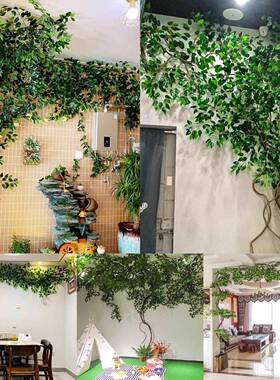 树藤假花树叶树枝蔓藤条客厅管道丑阳台墙tlznloj#面绿遮植藤植物