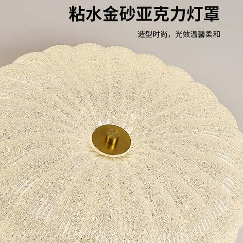 大壳观园全光谱吸顶卧室灯灯现代简约500灯房间玄关阳台灯贝吸顶