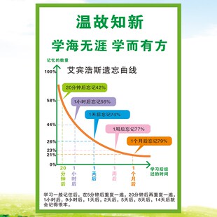 学习方法记忆曲线海报正能量树贴纸积极心态班级装饰文化墙贴成功
