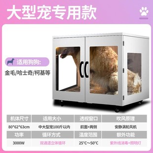 全自动大型宠物烘干箱家用大型犬小型猫咪吹水机宠物店静音吹风机
