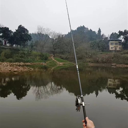 2024年新品盘车溪流冲钓竿3.9米短节碳素钓鱼杆超轻硬手感好