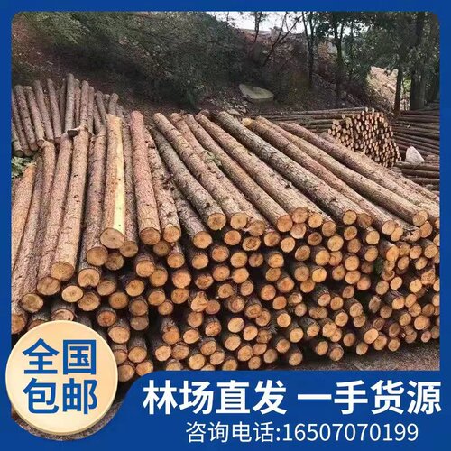 杉木圆木桩松木原木桩防汛木桩绿化支撑杆河O道打桩木带皮原木桩