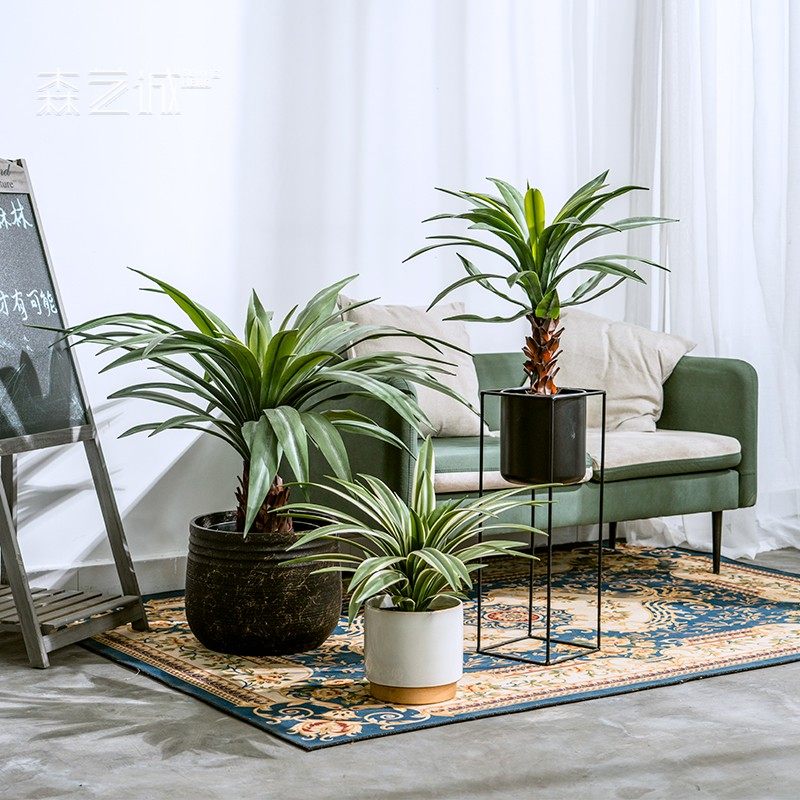 高端手感仿真龙血树龙舌兰假树绿植植物盆栽室内客厅造景装饰摆件,家居饰品,仿真植物盆景,淘宝优惠券,粉丝福利购,淘宝优惠卷