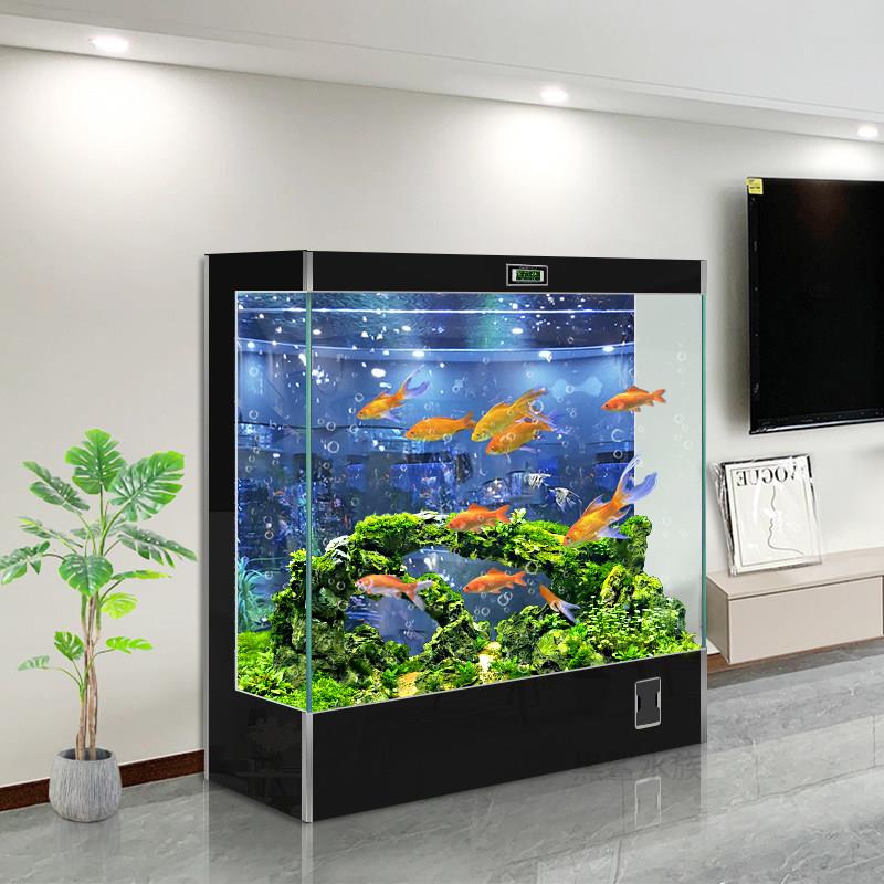 鱼缸客厅家用中小型2026新款正方形靠墙大型背滤生态造景金龙鱼缸