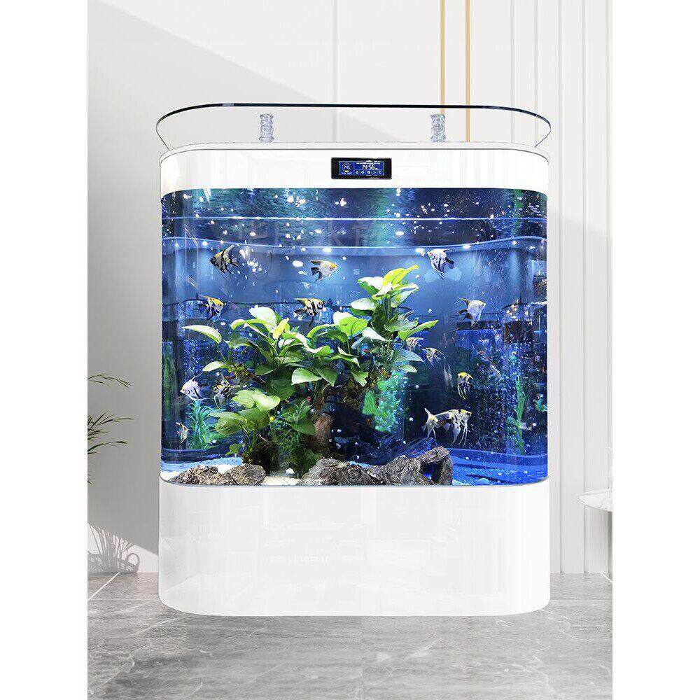 鱼缸客厅家用中小型2025新款双圆形靠墙大型背滤生态造景金龙鱼缸