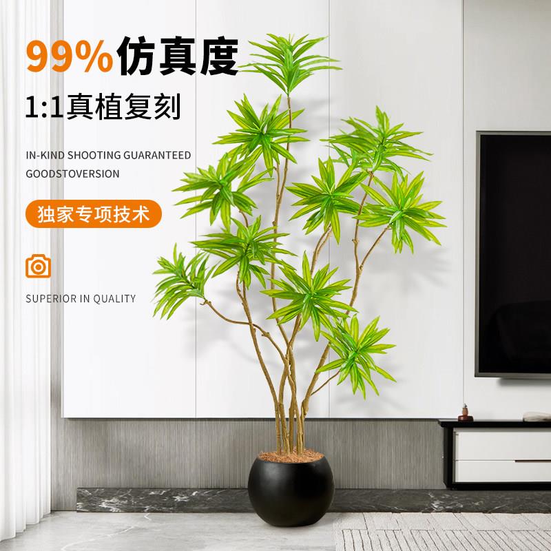 百合竹彷真绿色植物客厅高级轻奢装饰植物大型落地摆件彷生假花树
