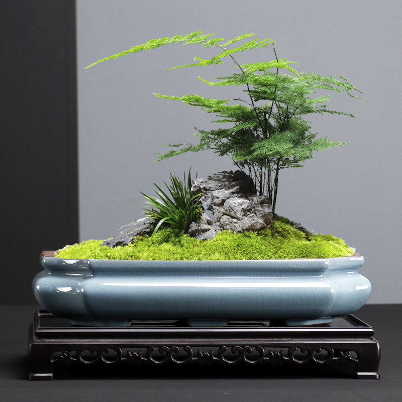 哥窑紫砂多肉绿植花盆简约有孔透气室内客厅虎须文竹菖蒲盆造景盆