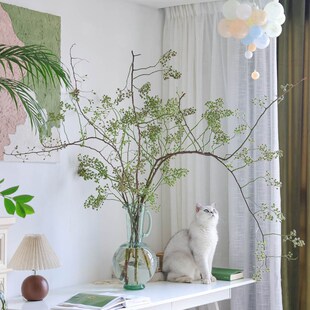 山归来鲜切d枝绿色蔷薇果鲜花新鲜水养造型插花中式禅意可做干花