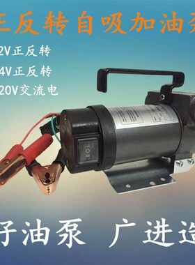 正反转电动油泵12jV24V220V直流加油泵自吸泵手动抽油泵柴油吸油