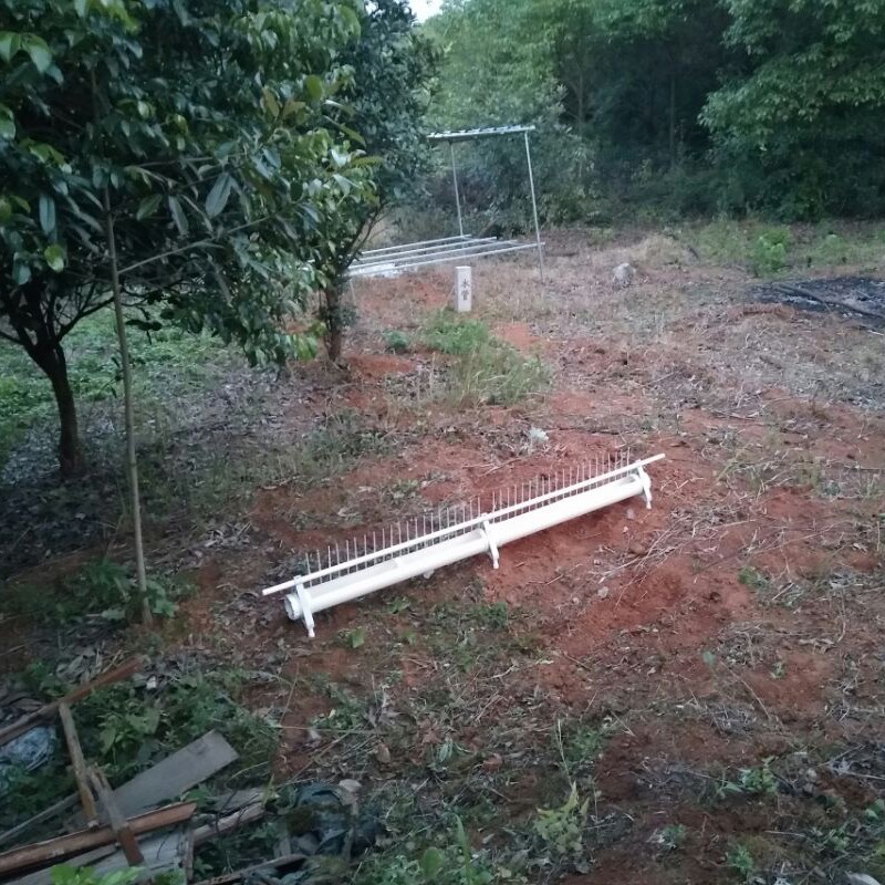 鸡用自动饮水器全自动喂水新款鸡喝水的养鸡鸭鹅鸽子家禽喂水器