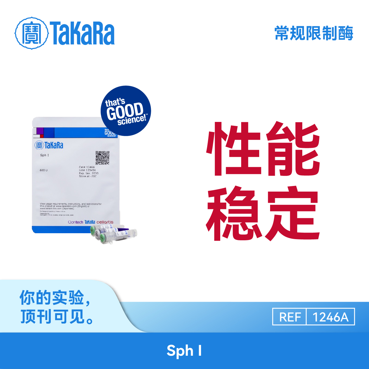 TaKaRa1246A常规限制酶