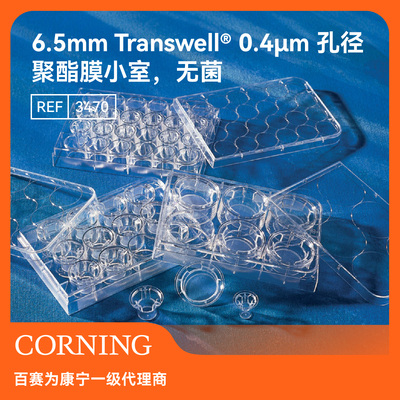 细胞小室0.4μm聚酯膜24孔板