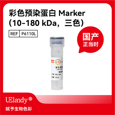 彩色预染蛋白MarkerWB