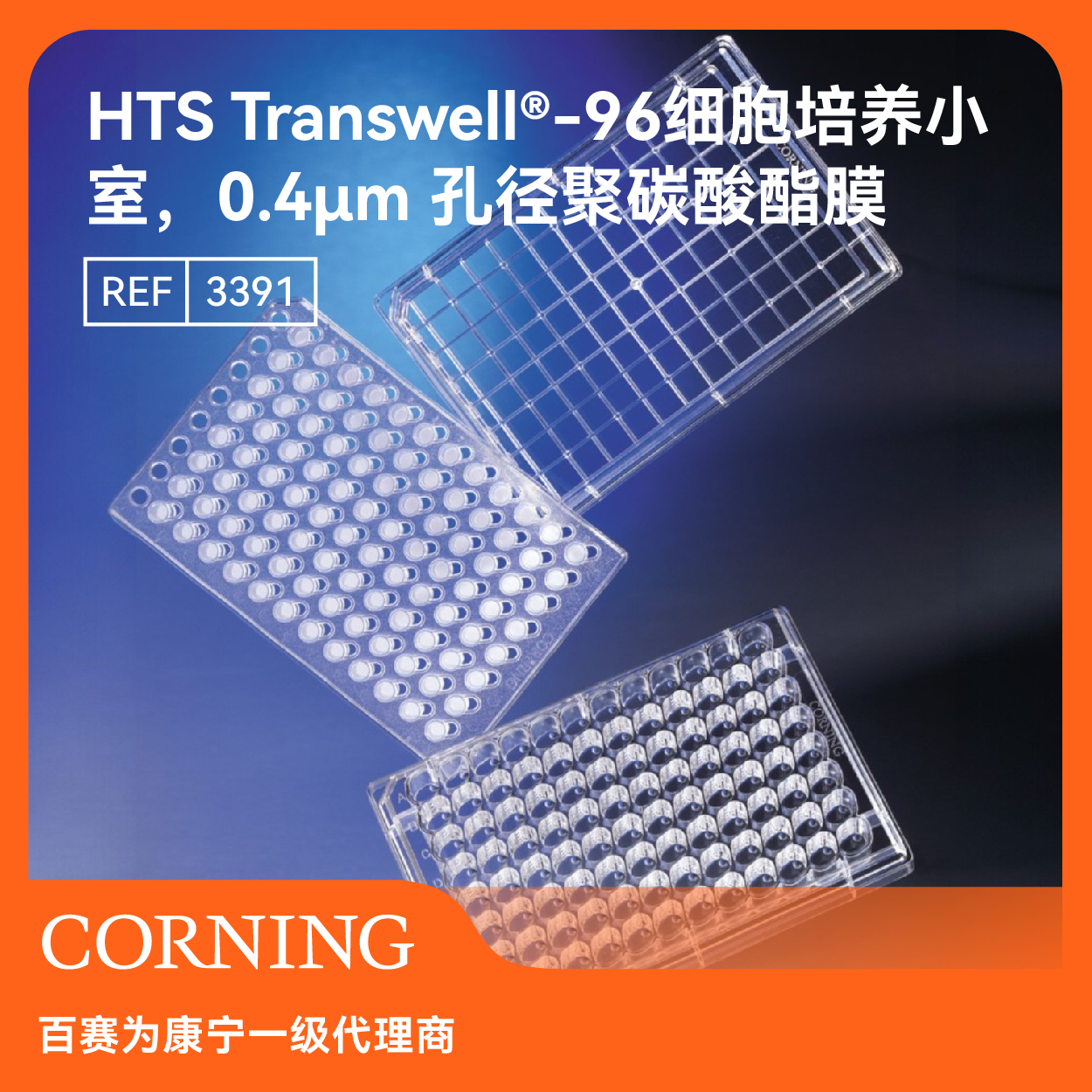 Corning细胞培养板平板菌落平板