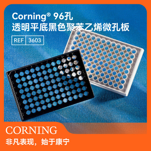 96孔黑色微孔板透明平底TC处理