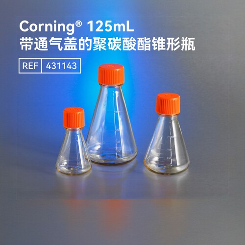 康宁细胞培养瓶25-225cm²