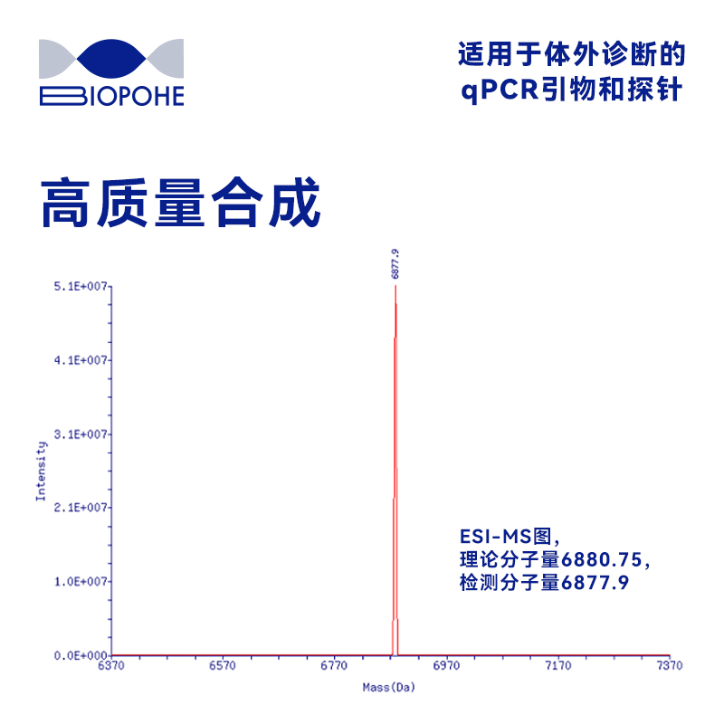 适用于体外诊断的qPCR引物和探针