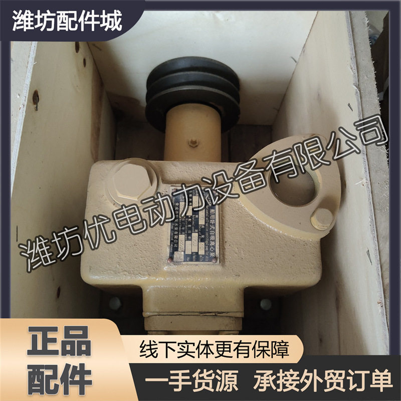 济柴6190柴油发动机海水泵 206L系列冷却水泵济南驰动190船用水泵