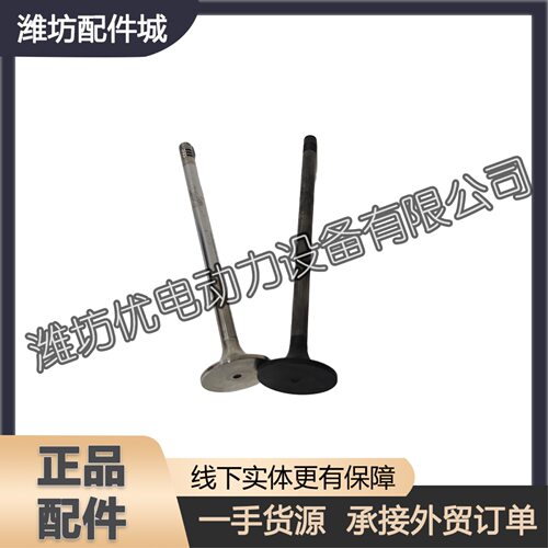 适用于潍柴WP10.5H柴油机WP9H斯太尔611600050048进排气门6116000