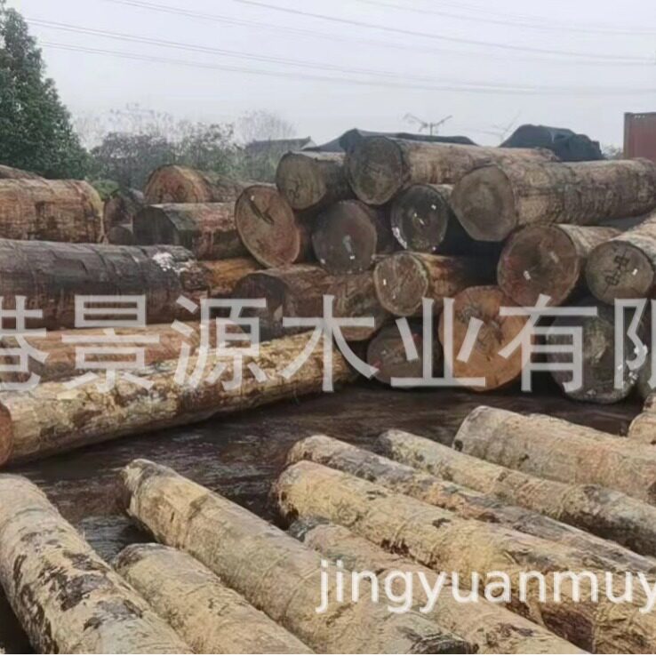 美国红橡原木板材原木板材北美红橡板桌原料圆木方料寿材料