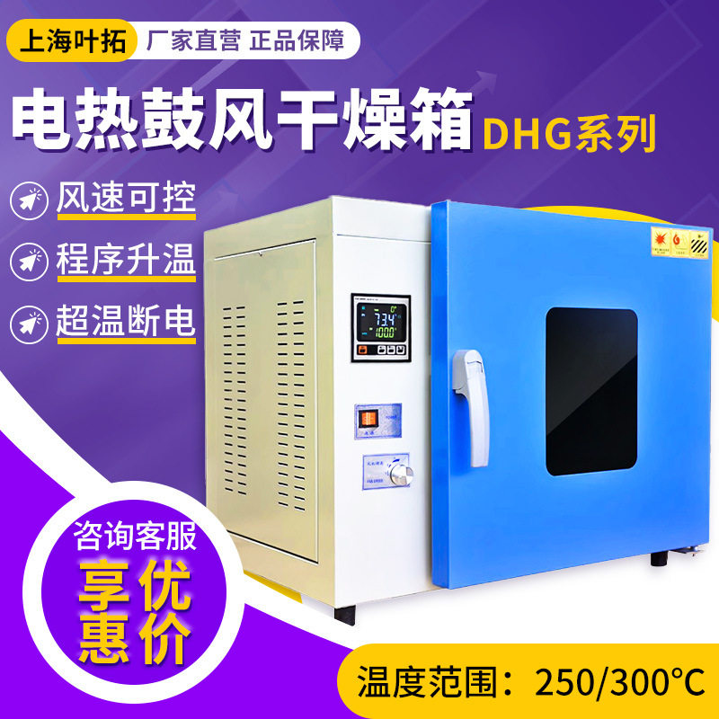 上海叶拓DHG系列250/300℃实验室干燥箱烘箱鼓电热恒温鼓风干燥箱