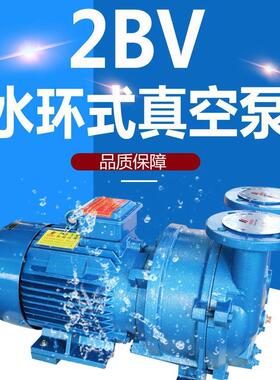2BV2070水环系统真空泵