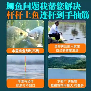 鲫鱼饵料野钓专用第一名主攻大板鲫黑坑散炮四季浓腥香钓鱼饵料