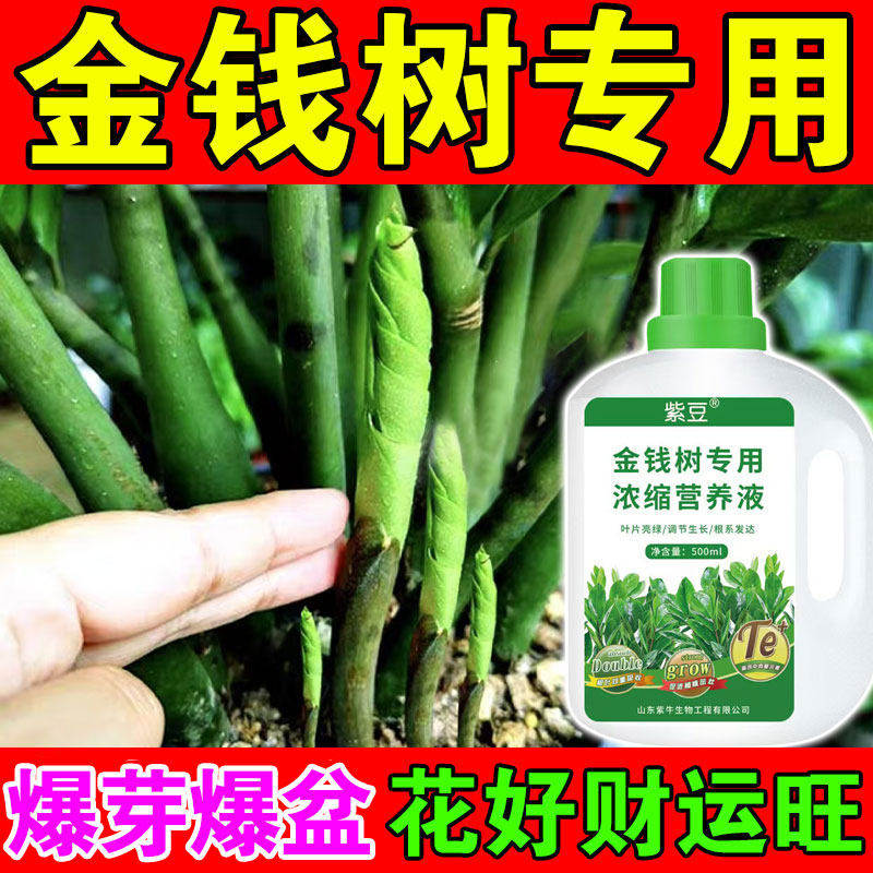金钱树专用营养液黄叶烂根一喷绿花卉盆栽通用促开花室内叶面肥料,鲜花速递/花卉仿真/绿植园艺,家庭园艺肥料,淘宝优惠券,粉丝福利购,淘宝优惠卷