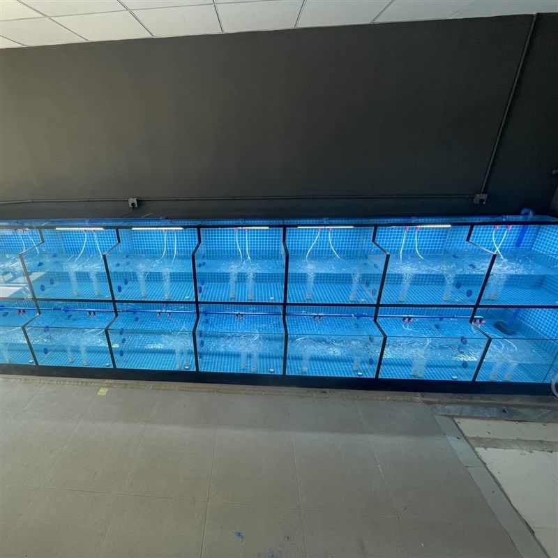 海鲜池商用酒店海鲜缸超市贝类池餐厅海鲜鱼缸移动虾蟹缸大闸蟹缸,宠物/宠物食品及用品,海鲜缸/大型异形缸,淘宝优惠券,粉丝福利购,淘宝优惠卷