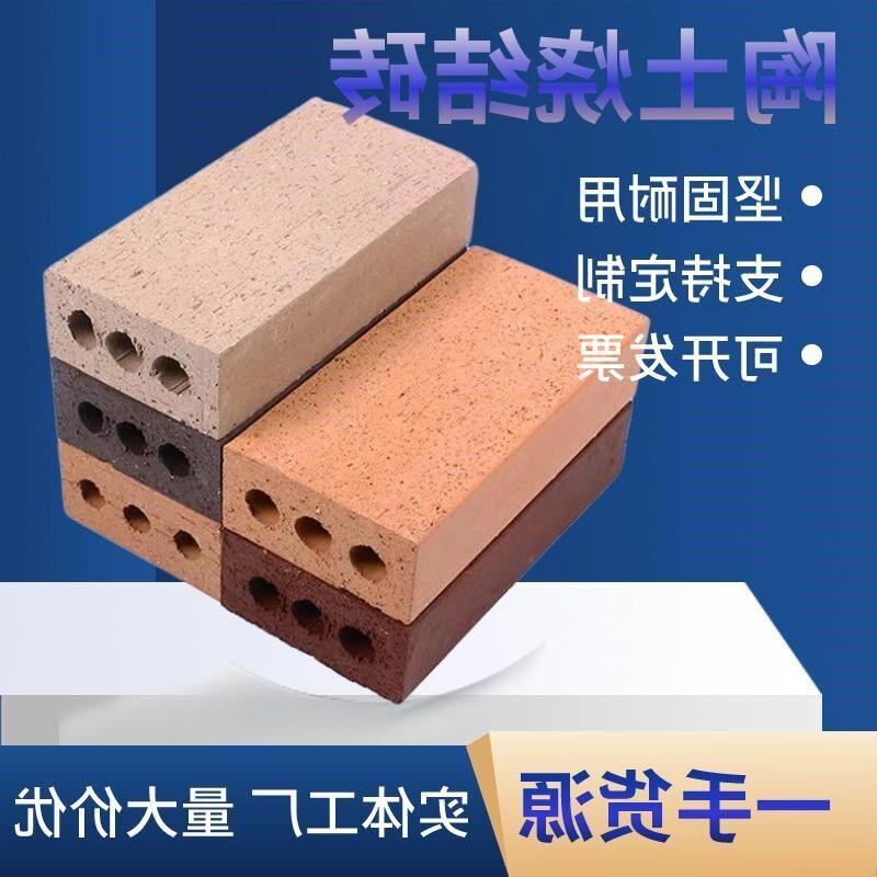 陶土砖陶土烧结砖清水墙砖铺地红砖空心砖多孔砌墙砖装饰建筑用砖